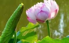 火花塞老化影响怠速吗怎么办?