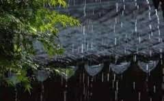 樟树环境怎么样?