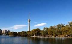 轩逸1.6自动油耗怎么样?