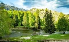 信用卡可以办10万额度?