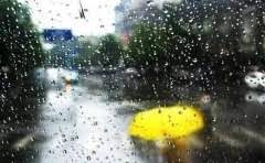 98路公交可以到郑州海洋馆吗?