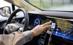 四十天的拉布拉多可以和土狗一起养吗?