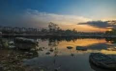 智能机器人是什么意思?