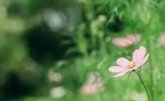 业务分类是什么意思?