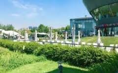 掌上披萨怎么样?