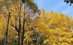 防水喷雾能坚持多久?