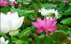 浦发银行信用卡中心待遇怎么样?