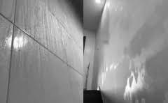 铁观音茶叶的保质期是多久?