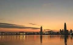 两个月的拉布拉多幼犬能吃菠菜吗?