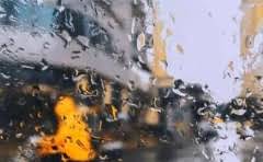 电大一年制中专可以参加单招吗?