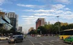 遵循准则是什么意思?