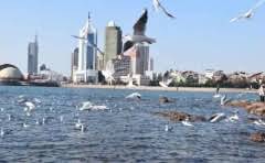 旅行的时候时候带优米熊的土司吗?